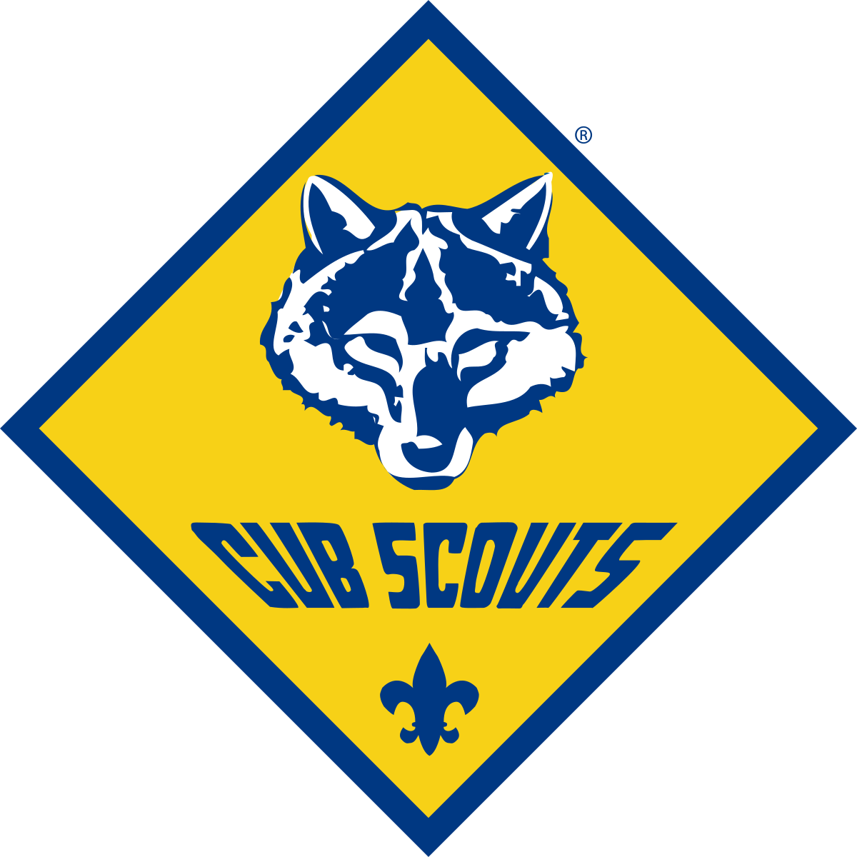 Cub scouts connecticut yankee council bsa