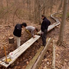 WahMAINT-Boardwalk Repair