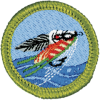 FlyFishing-pxf98rwwv4m1s7lq8lcfdeyzh6i9g8rws1ajunrrz4 Fly Fishing Merit Badge